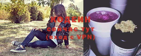 сатива Вязники
