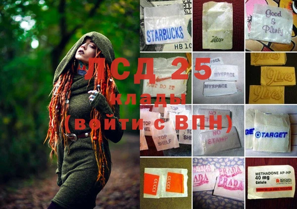 сатива Вязники