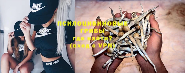 сатива Вязники